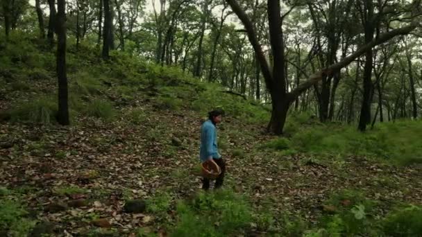 Drone vista de bosques densos brumosos con hembra caminando a través de los árboles y recogiendo setas en canasta de mimbre - Metraje, vídeo