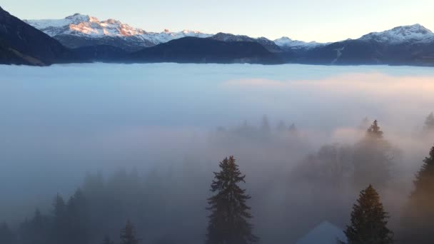 Vista pitoresca do drone de nuvens brancas grossas que cobrem o vale da montanha com picos rochosos nevados e floresta conífera na luz do por do sol - Filmagem, Vídeo