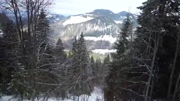 Сцена путешествия Жорни по снежно-лесистой горной местности - Кадры, видео