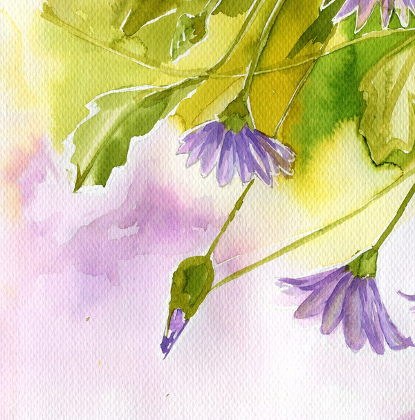 akvarell illusztráció ábrázoló tavaszi virágok a rét - Fotó, kép