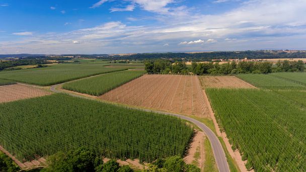 Вид с воздуха на ландшафт с хмелеводческими фермами в окрестностях замка Стекник возле Затеца - объект Всемирного наследия ЮНЕСКО с сентября 2023 года. - Фото, изображение