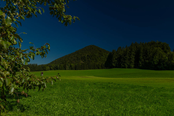 Zielona łąka z błękitnym niebem w pobliżu wsi Ebenau w letni słoneczny dzień - Zdjęcie, obraz