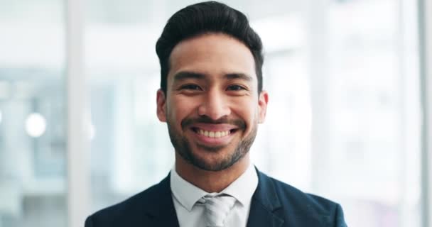 Happy, professional and face of business man in office for lawyer, corporate or advocate. Pride, smile and attorney with portrait of employee from new york laughing for motivation, funny or happiness. - Footage, Video