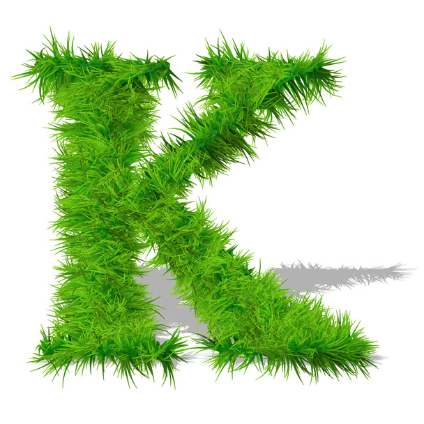 Grass eco font - Photo, Image