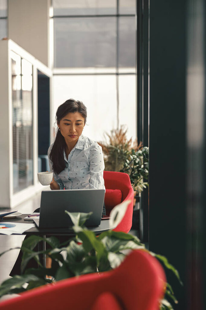 Орієнтована стильна ділова жінка, що працює на ноутбуці, сидить за столом в офісі біля вікна - Фото, зображення
