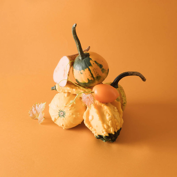 Yeni seçilmiş ev yapımı turuncu ve sarı renkli doğal sebzelerin yaratıcı dengeleyici dikey piramidi - balkabağı aynı renk arka plan, kopyalama alanı. Vejetaryen sağlıklı yiyecekler. - Fotoğraf, Görsel