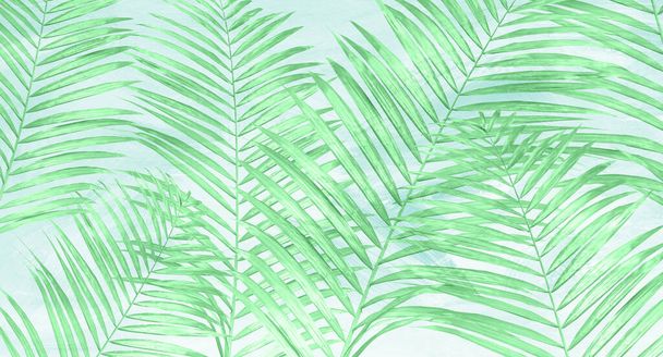 Papier peint tropical, arbres tropicaux et feuilles, conception de papier peint pour l'impression numérique- illustration 3D - Photo, image