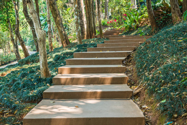 Concrete steps in garden, Thailand. - Photo, Image