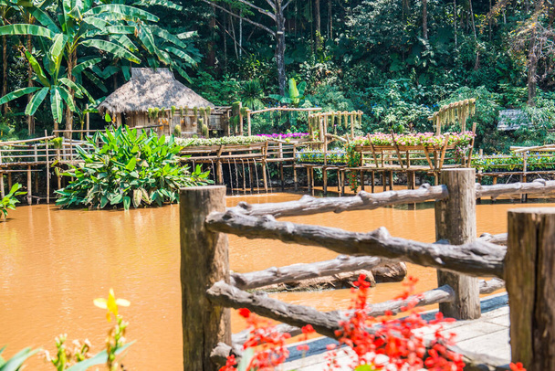 Krajina v Mae Fah Luang Garden v Thajsku. - Fotografie, Obrázek