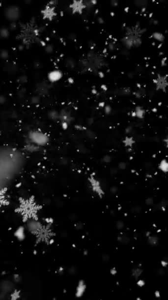 Realistyczna pionowa rozdzielczość Animacja płatków śniegu i śniegu z płynną pętlą, przydatna w mobilnych filmach, rolkach, opowieściach, animacji zimowej i świątecznej, przedłuż czas trwania zgodnie z wymogami płynnej pętli - Materiał filmowy, wideo