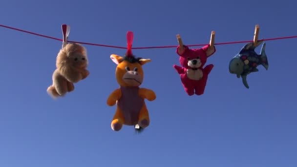 Bonitos brinquedos de animais macios coloridos em cordas de roupas e céu
 - Filmagem, Vídeo