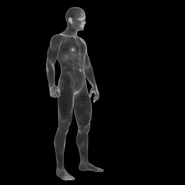 3D human made of wireframe or mesh - Photo, Image