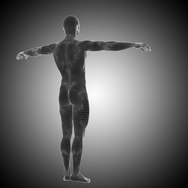 Man anatomy standing over black - Photo, Image