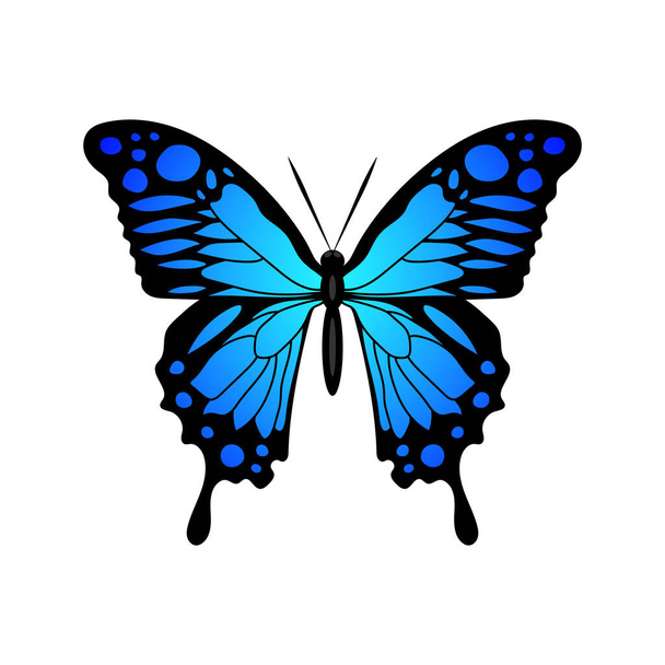 Mariposa silueta azul Monarca diseño de mariposa ilustración vectorial dibujado a mano - Vector, imagen