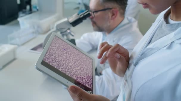 Focus op handen van onherkenbare vrouw in medische toga-tablet die overdag een foto van cellen in het laboratorium bestudeert - Video