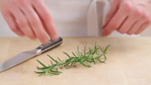 Rosemary needles being removed from a sprig - Footage, Video