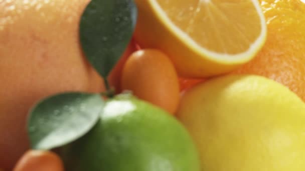 Assorted citrus fruits on plate - Footage, Video
