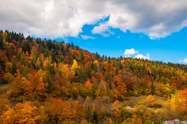 Brillante paisaje de otoño soleado contra el cielo azul con nubes blancas - Foto, imagen