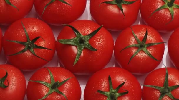 Roterende tomaten op witte achtergrond - Video