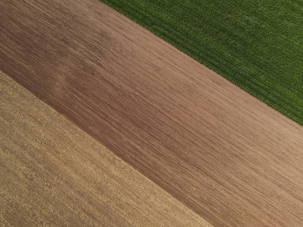 Pohled na zemědělská pole se špínou a zelenou kukuřicí na venkově - Fotografie, Obrázek