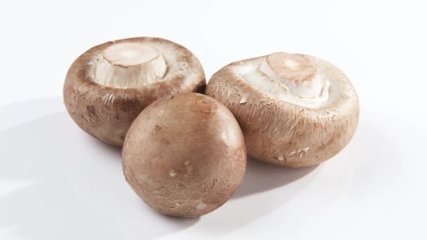 Three chestnut mushrooms - Footage, Video
