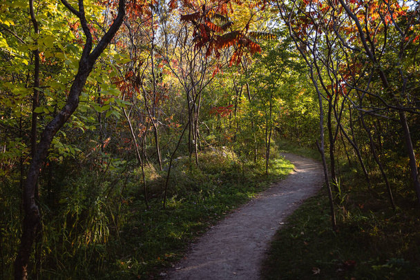 Krásný podzimní moment v Quebecu, Kanada 2023 - Fotografie, Obrázek
