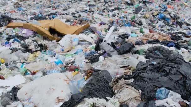 Plastic afvalstortplaats met groot plastic afval. Ecologische ramp, giftig afval midden in de natuur. Bescherming van de natuur - Video