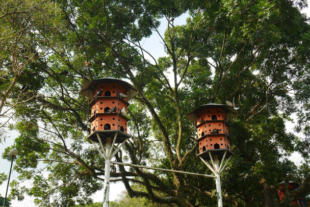 Una jaula de palomas situada a una altura que se acerca a las ramas de los árboles circundantes, en un parque de la ciudad. - Foto, imagen