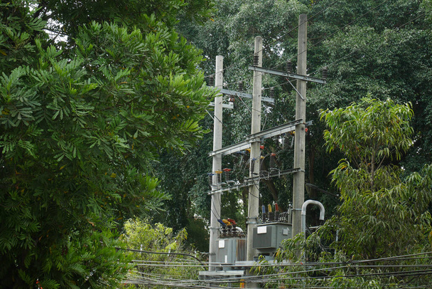 Электрический трансформатор среди пышных деревьев. - Фото, изображение
