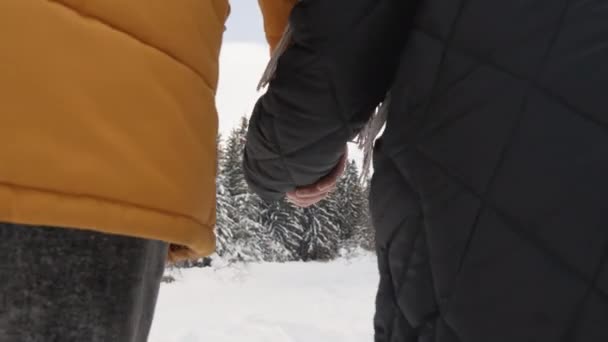 Kar zeminde el ele tutuşan çift, ilişkilerini güçlendiren maceralardan zevk alıyor. Kış ormanlarında birlikte vakit geçirmek çift için bir fırsat yaratıyor. - Video, Çekim