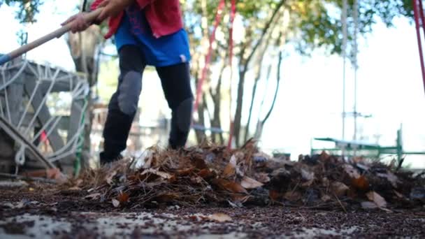 Junge sammelt mit Harke umgestürzte Blätter ein - Filmmaterial, Video