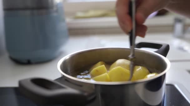 Cocinar patatas hervidas en la cocina casera. mujer pone patatas crudas peladas en la sartén agua hirviendo, revuelve, sales, comprueba la preparación - Metraje, vídeo