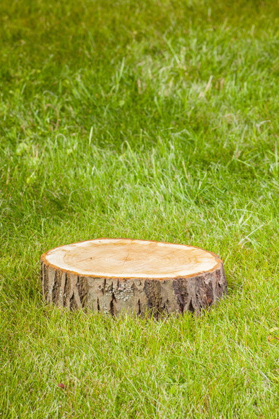 Tree stump on  grass - Foto, imagen