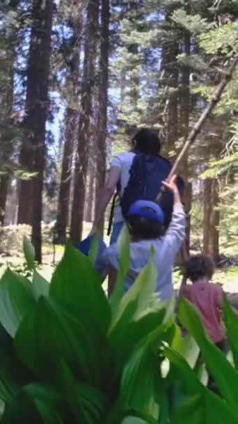 Godetevi le stagioni soleggiate con i giovani appassionati di escursionismo. donna con i suoi figli escursioni in montagna  - Filmati, video