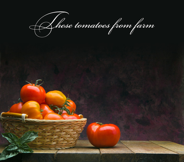 Tyto rajčata z farmy - Fotografie, Obrázek