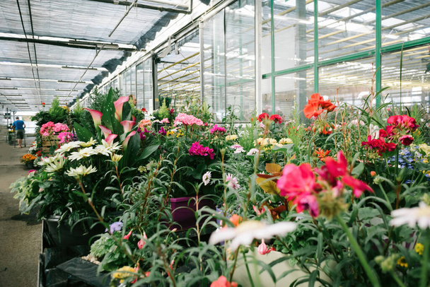 Forgalmas virágüzlet tele különböző virágok, mint a vásárlók tolja szekerek a háttérben. - Fotó, kép