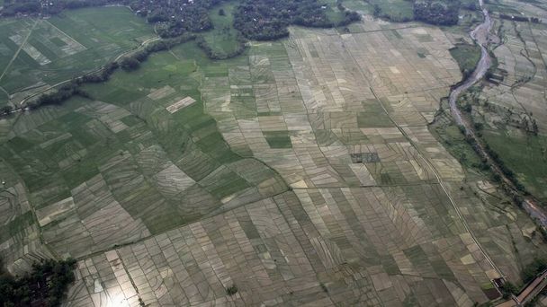 熱帯季節の典型的な自然条件の米畑の風景,空中観察. - 写真・画像
