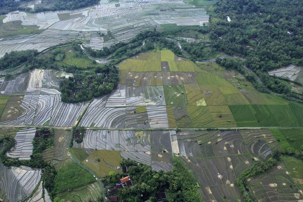 Vista aérea, paisagem de campos de arroz com condições naturais típicas da estação tropical. - Foto, Imagem