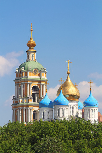 Novospasskiy монастир, Москва, Росія - Фото, зображення