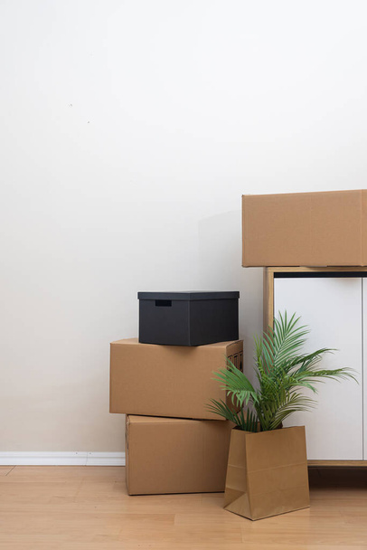 Hromada lepenkových krabic stojí vedle pokojové rostliny u bílé zdi uvnitř, symbolizuje den stěhování a proces stěhování - Fotografie, Obrázek