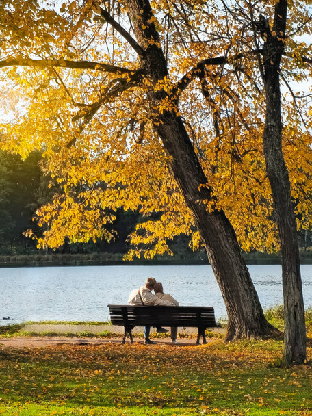 Ζευγάρι τρυφερά μαζί σε ένα παγκάκι με τις πλάτες τους κάτω από ένα χρυσό δέντρο σε ένα ηλιόλουστο φθινόπωρο πάρκο. Κάθετη προβολή. - Φωτογραφία, εικόνα