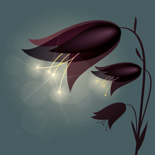 Bellflower luminoso
 - Vector, imagen