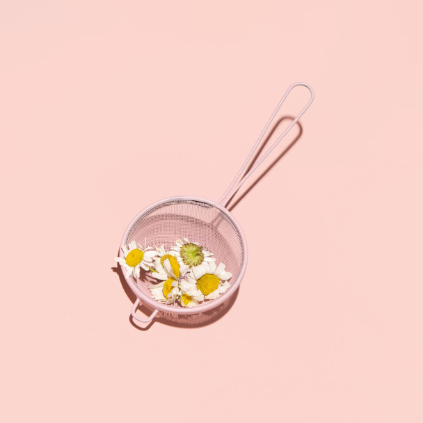 Siatki siatkowe i kwiaty rumianku, kreatywne ziołowe koncepcja herbaty, pastelowy różowy back kround. - Zdjęcie, obraz