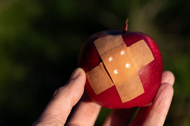 Крупним планом рука тримає червоне яблуко. На яблуці велика штукатурка. Фон зелений з пробілом для тексту - Фото, зображення