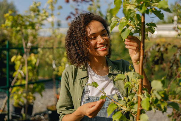 Pozitif kadın bahçıvan bahçe merkezinde çalışırken bitkilerle ilgilenir. Yüksek kalite fotoğraf - Fotoğraf, Görsel