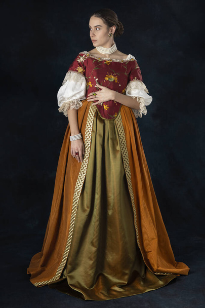 Renaissance, Tudor, Georgian, or high fantasy woman wearing an embroidered bodice with a linen undershirt and a long two-piece skirt against a studio backdrop - Photo, Image