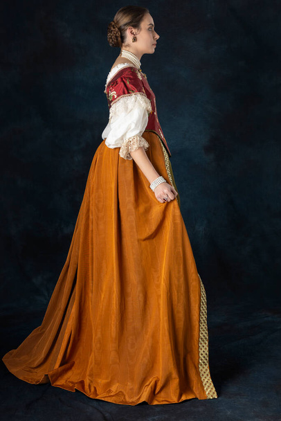 Ренесанс, Тюдор, Грузинська або висока фентезі-жінка у вишитому кузові з лляною ниткою і довгою спідницею з двох частин на фоні студії - Фото, зображення