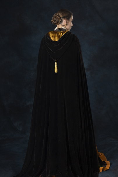 Renascimento, Tudor, georgiano, ou mulher de alta fantasia vestindo um corpete bordado e uma capa de veludo de seda - Foto, Imagem