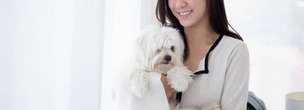 Fiatal ázsiai nő áll hordozó bolyhos kutya shih tzu szeretettel a nappaliban otthon, barátok kisállat társa, nő játékos és ölelést állat pihenni, nő és barátságos kölyökkutya. - Fotó, kép