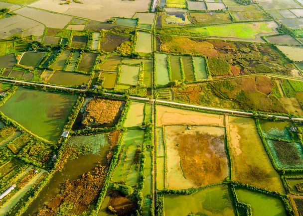 Вид с воздуха на местность в природном заповеднике Ван Лонг, Нинь Бинь, Вьетнам. - Фото, изображение